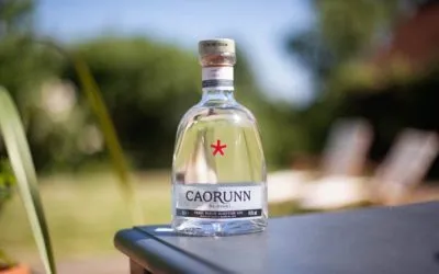 SCOTTISH GIN OF THE YEAR TOP 5